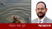 বাগেরহাটে কুকুর-কুমির ঘটনায় প্রতিমন্ত্রীর তদন্ত নির্দেশ, মানবিকতা নিয়ে প্রশ্ন