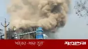 ভারতে তাপবিদ্যুৎ কেন্দ্রে বিস্ফোরণে ১১ জন নিহত, আহত ২২
