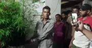 বরিশালে বাড়ির আঙিনায় গাঁজা চাষের অভিযোগে জামাল বেপারী গ্রেপ্তার