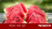 তরমুজের বীজ নিয়ে বিরক্তির দিন শেষ: জাপানি কৌশলে সহজ সমাধান