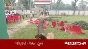 কুমিল্লার বিদ্যালয়ে বিদায় অনুষ্ঠানে গাছ উপড়ে পড়ে তিন শিক্ষার্থী আহত