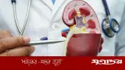 তাপপ্রবাহে বাড়ছে কিডনি রোগের ঝুঁকি, বিশেষজ্ঞদের সতর্কতা