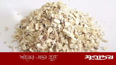 ওটস সবার জন্য উপকারী নয়, জানুন কারণ