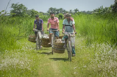 গ্রামীণ জীবনের নানা দৃশ্য: রোদে কাজ থেকে ফুল-ফল, সড়ক দুর্ঘটনা