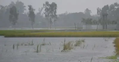 কুড়িগ্রামে রেকর্ড বৃষ্টি, বোরো ধান নিয়ে কৃষকদের দুশ্চিন্তা