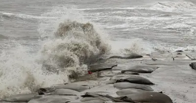 মে মাসের দ্বিতীয়ার্ধে বঙ্গোপসাগরে লঘুচাপ, ঘূর্ণিঝড়ের আশঙ্কা