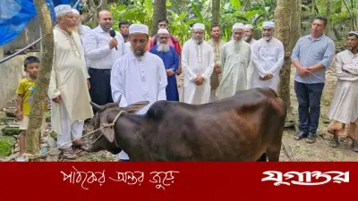 ক্ষতিগ্রস্ত খামারিকে জামায়াতের গাভী উপহার