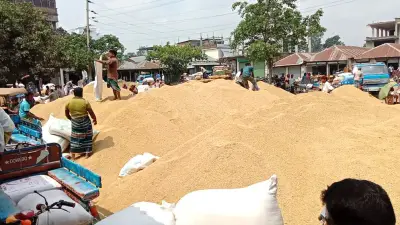 বাজেটে স্বাস্থ্যখাতে জিডিপির ১% বরাদ্দ, নানা সংকটে কৃষক