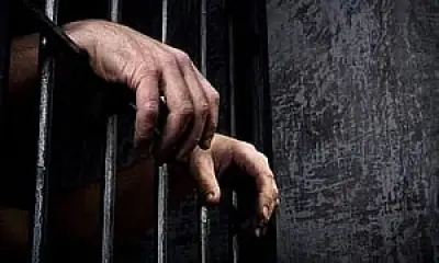 এমপির ভাগ্নে কারাগারে, ফাঁকা গুলি ছুড়ে ১৯ লাখ টাকা লুটের মামলায় প্রকৌশলী গ্রেপ্তার