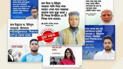 হাম নিয়ে বিভ্রান্তি: ফেসবুকে ভুয়া মন্তব্য ছড়ানোর ফাঁদ