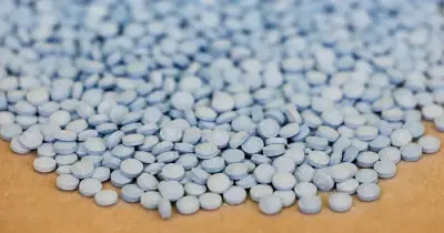 যুক্তরাষ্ট্রে মাদক ওভারডোজে মৃত্যু ১৪% কমেছে