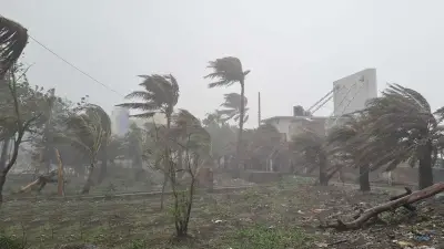 সকাল ৯টার মধ্যে কালবৈশাখী ঝড়ের পূর্বাভাস, রাজধানীতে প্রকাশ্যে যুবককে গুলি