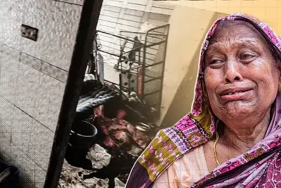 বাংলাদেশে নতুন শিক্ষাক্রম চালু: শিক্ষার্থীদের জন্য বড় পরিবর্তন