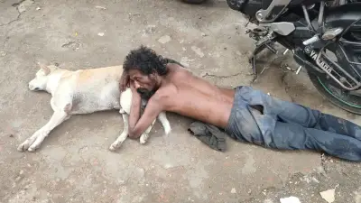 ট্রাক্টরে মাটি পরিবহনে নষ্ট রাস্তা, ধান নিয়ে দুশ্চিন্তায় চাষিরা