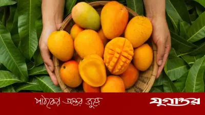 পাকা আম দীর্ঘদিন সংরক্ষণের কার্যকর উপায়