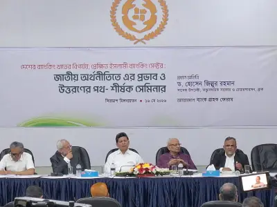 ব্যাংক সংকট সমাধানে রাজনৈতিক সিদ্ধান্ত জরুরি: হোসেন জিল্লুর