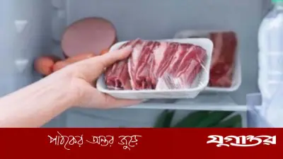 ঈদের ছুটিতে ফ্রিজে কুরবানির মাংস সংরক্ষণের সঠিক পদ্ধতি