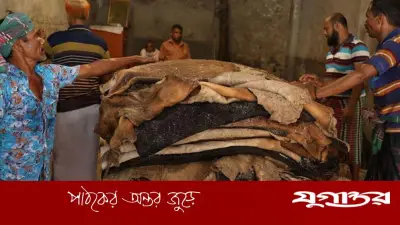 কুরবানির চামড়া সংগ্রহ বর্জন: বিলিয়ন ডলারের শিল্পে সংকটের আশঙ্কা