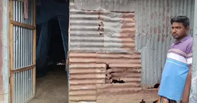 কোরবানির আগে গোয়ালঘর থেকে ৮ গরু চুরি, কৃষকদের সর্বস্ব হারানোর শোক