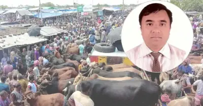 ঈদুল আজহায় পশুর হাটে অ্যানথ্রাক্স ও খুরারোগের ঝুঁকি, সতর্ক থাকুন