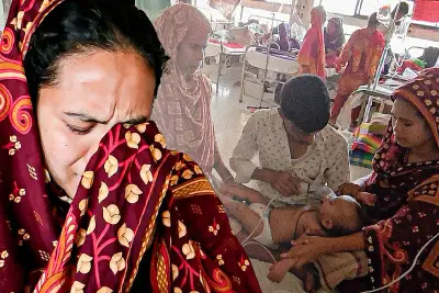 ভিডিও: প্রযুক্তি ও শিক্ষার নতুন দিগন্ত উন্মোচন