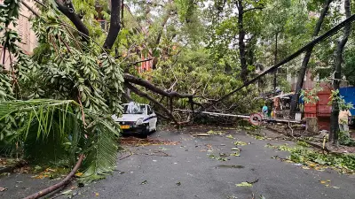 কলকাতায় ঘূর্ণিঝড়ে বিদ্যুৎস্পৃষ্ট হয়ে একজনের মৃত্যু, ২৫ স্থানে গাছ উপড়ে যান চলাচল ব্যাহত