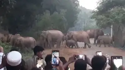 প্রথম আলো ভিডিওতে বাংলাদেশের বিশেষ প্রতিবেদন