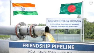 চার মাসে ভারত থেকে ৫৭ হাজার টন ডিজেল এল, সাদিক কায়েমের নামে মেয়র প্রার্থী প্রচার