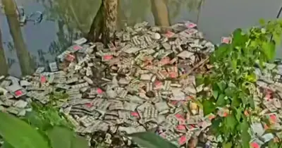জামালপুরের ইসলামপুরে ডোবায় ভাসছে সরকারি ওষুধ, তদন্ত কমিটি গঠন
