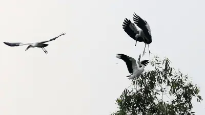 স্মৃতি ও বর্তমানের মেলবন্ধনে পুরান ঢাকার শাহী মসজিদ