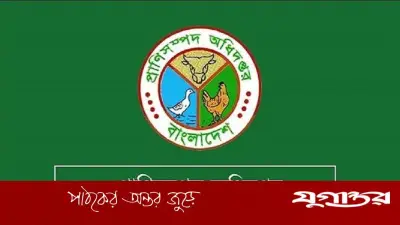 ভারত থেকে গরু আমদানির অনুমতিপত্র ভুয়া: প্রাণিসম্পদ মন্ত্রণালয়