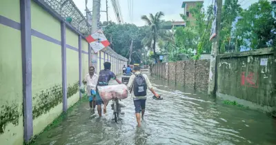 রংপুরে টানা বৃষ্টিতে জলাবদ্ধতায় ৫ হাজার পরিবার দুর্ভোগ