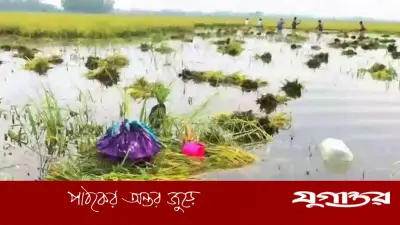 ধান তলিয়ে যেতে দেখে কৃষকের হৃদরোগে মৃত্যু