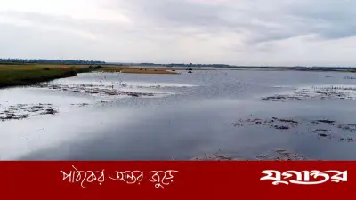 ছয় বিঘা জমির ধান তলিয়ে যেতে দেখে কৃষকের মৃত্যু