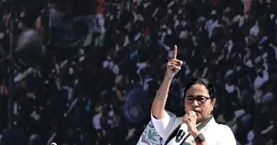 মমতা বন্দ্যোপাধ্যায়ের নির্দেশনা: গণনা কেন্দ্রে থাকুন, হাল ছাড়বেন না