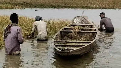 ভিডিওতে বাংলাদেশের নতুন দিগন্ত: প্রযুক্তির অভূতপূর্ব ব্যবহার