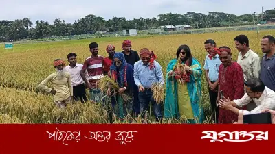 গামছা মাথায় এমপির ধান কাটা, চকনজু গ্রামে রাইস গার্ডেন উদ্বোধন