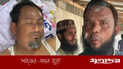 মৌমাছির কামড়ে জামায়াতের তিন নেতাকর্মী আহত কুড়িগ্রামে