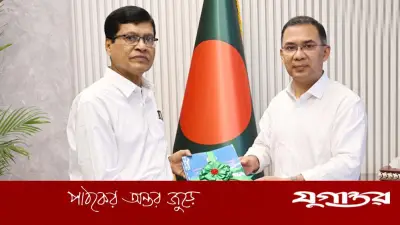 বালিশের দাম শুনে প্রধানমন্ত্রীর মন্তব্য: জাদুঘরে রাখা উচিত
