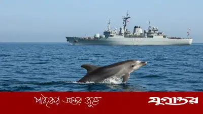 হরমুজে ‘মাইন বহনকারী ডলফিন’ ব্যবহারের গুঞ্জন ইরানের