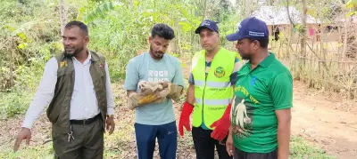 আহত লজ্জাবতী বানর উদ্ধার খাগড়াছড়িতে, চিকিৎসা চলছে