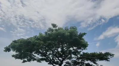 ছবিতে বাংলাদেশ: বর্ষা, প্রকৃতি ও জীবনের গল্প