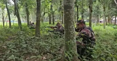 ভারত থেকে অনুপ্রবেশ ঠেকাতে যশোর সীমান্তে বিজিবির নিরাপত্তা জোরদার