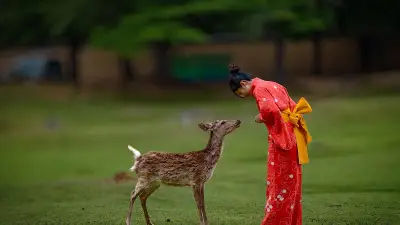 জাপান ভ্রমণ: শৃঙ্খলা আর সৌন্দর্যের এক অপূর্ব মেলবন্ধন