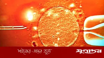 হিমায়িত টিস্যু থেকে ১৬ বছর পর প্রজনন সক্ষমতা ফিরে পাওয়া সম্ভব