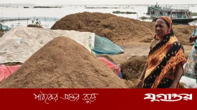 হাওড়ের কৃষকদের হতাশা: ঋণের কিস্তি কীভাবে দেবেন তারা