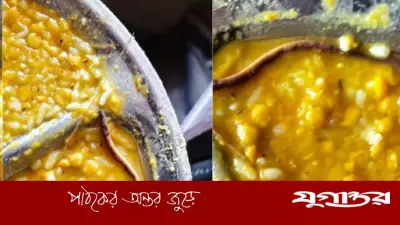 বিহারে মিড-ডে মিলে সাপের বাচ্চা, অসুস্থ ১৫০ শিক্ষার্থী