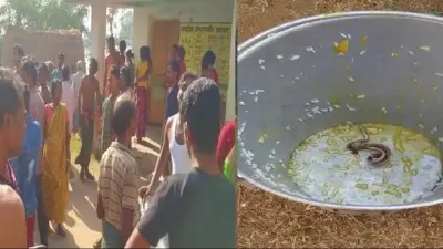 স্কুলের খাবারে সাপ, অসুস্থ ১৫০ শিশু; ইয়াবা জব্দ র্যাবের