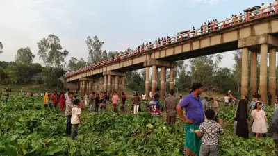 ফুলজোড় নদীর কচুরিপানায় নতুন আকর্ষণ: যুক্তরাজ্যের হরমুজ প্রণালিতে রণতরি পাঠানো