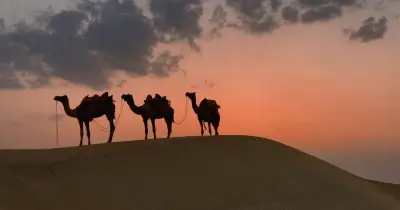 নবীজির কোরবানি: পদ্ধতি, পশু ও বিতরণ নীতি